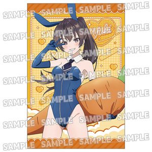 TVアニメ「時々ボソッとロシア語でデレる隣のアーリャさん」 描き下ろしB2タペストリー【バニーver.】(2)有希 (キャラクターグッズ)