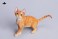 JXKスタジオ 1/6 デボンレックス 4.0 A (ドール) 商品画像2 サムネイル