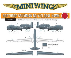 RQ-4 GLOBAL HAWK JASDF (Plastic model)