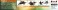 Mave Yukikaze w/Paint Reproduction decal / Photo-Etched Parts (Plastic model) 商品画像1 Thumbnail