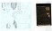 Mave Yukikaze w/Paint Reproduction decal / Photo-Etched Parts (Plastic model) 中身2 Thumbnail