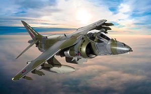 BAe ハリアー GR9A ZG506/P77 `ニンジャ 1` イギリス空軍 コッツモア基地 最終飛行退役計画 2010年12月15日 (完成品飛行機)
