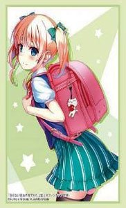 Bushiroad Sleeve Collection HG Vol.4476 Fujimi Fantasia Bunko Saekano: How to Raise a Boring Girlfriend [Eriri Spencer Sawamura] (Card Sleeve)