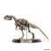 Dinosaur Master 5 (Set of 10) (Shokugan) 商品画像4 Thumbnail