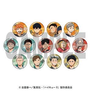 Animation [Haikyu!!] Glitter Kirameki Can Badge Collection 3 (Set of 13) (Anime Toy)