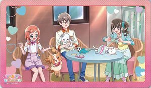 Wonderful PreCure! Character Rubber Mat [D] (ENR-085) (Card Supplies)