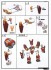 Mado King Granzort Granzort (Plastic model) 設計図10 Modal Thumbnail