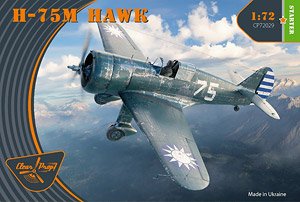 Curtiss H-75M Hawk `Taiwan/Argentina` (Plastic model)