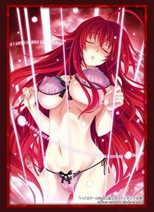 Bushiroad Sleeve Collection HG Vol.4566 Fujimi Fantasia Bunko High School DxD [Rias Gremory] Part.4 (Card Sleeve)