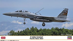 F-15DJ Eagle `Pacific Skys 2024` (Plastic model)