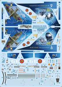F-16A MLU 349飛行隊 70周年・80周年記念デカール (デカール)