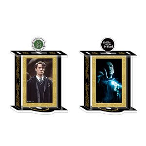 Harry Potter Rotate Acrylic Stand E Tom Riddle & Lord Voldemort (Anime Toy)