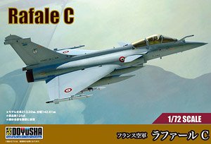 French Rafale C (Plastic model)