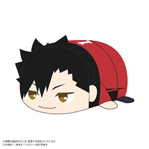 HQ-82 ハイキュー!! ぽてコロマスコットBIG2 A：黒尾鉄朗 (キャラクターグッズ)