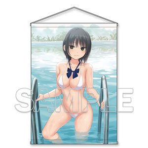 電撃萌王 珈琲貴族描き下ろし 青山さん三角白ビキニタペストリー【B2】 (キャラクターグッズ)
