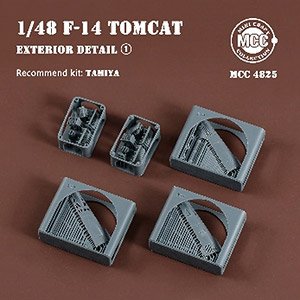 F-14 Tomcat Extrior Detail (1) (Plastic model)