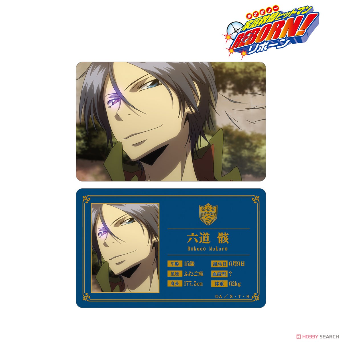 Katekyo Hitman Reborn! Mukuro Rokudo Visual Card (Anime Toy) 商品画像1