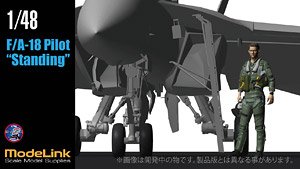 F/A-18 Pilot Standing (Plastic model)