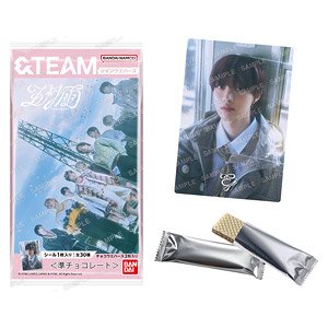 &TEAM Twin Wafer (Set of 20) (Shokugan)