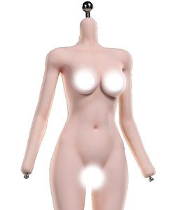 Puzzle Toys 1/6 Super Movable Steel Born LSR Korean Girl Group Body Pinkish White (Fashion Doll)
