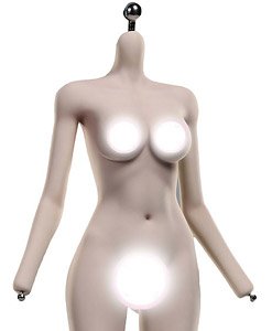 パズルトイズ 1/6 スーパームーバブル スティールボーン LSR コリアン ガール グループ ボディ ウィートスキン (ドール)