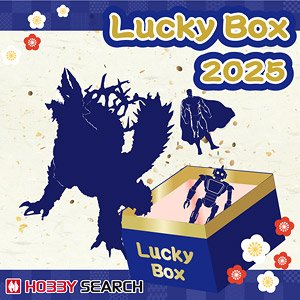2025 Robot/Character Action Figure Lucky Box 20,000 yen (Completed)