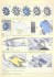 ニューポール Ⅺ (後期) (プラモデル) 設計図12 モーダル サムネイル