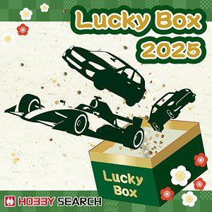 2025 Diecast Car Lucky Box 10,000 yen (Diecast Car)
