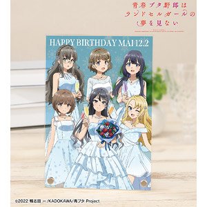 青春ブタ野郎はランドセルガールの夢を見ない 描き下ろし 集合 桜島麻衣 バースデーver. A5アクリルパネル (キャラクターグッズ)