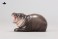 JXK Studio Baby hippopotamus 2.0 (Fashion Doll) 商品画像5 Thumbnail