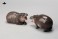 JXK Studio Baby hippopotamus 2.0 (Fashion Doll) その他の画像3 Thumbnail