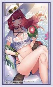 Bushiroad Sleeve Collection HG Vol.4658 Fujimi Fantasia Bunko Akashic Records of Bastard Instructor [Eve Ignite] (Card Sleeve)
