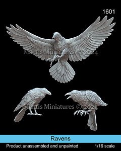 Ravens (Plastic model)
