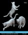 Cats (Plastic model) その他の画像1 Thumbnail
