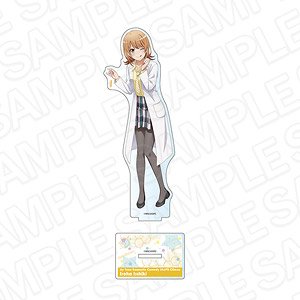 TVアニメ「やはり俺の青春ラブコメはまちがっている｡完」 デカアクリルスタンド 一色いろは chemistry ver. (キャラクターグッズ)