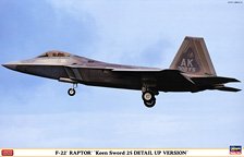 F-22 Raptor `Keen Sword 25 Detail Up Version` (Plastic model)