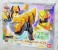DXティラノハンマー50 (キャラクタートイ) パッケージ1 サムネイル