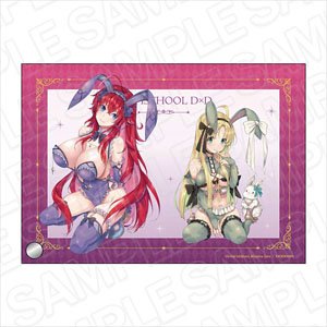 ハイスクールD×D ミニアクリルアート リアス&アーシア ランジェリーバニー ver. (キャラクターグッズ)