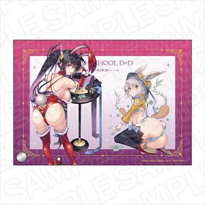 High School DxD Mini Acrylic Art Akeno & Koneko Lingerie Bunny Ver. (Anime Toy)