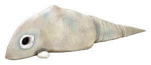 1/6特撮シリーズ 二次元怪獣 ガヴァドン(A) (完成品)