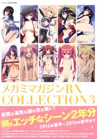 Megami Magazine RX Collection Vol.3 (Hobby Magazine)