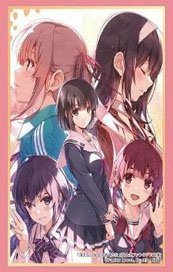 ブシロード スリーブコレクション HG Vol.4712 富士見ファンタジア文庫 『冴えない彼女の育てかた』 (カードスリーブ)