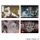 「刃牙」シリーズ イラストプレイマットNT トリケラトプス拳 (カードサプライ) その他の画像1 サムネイル