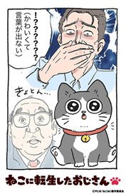ブシロード トレーディングカード コレクションクリア ねこに転生したおじさん (トレーディングカード)