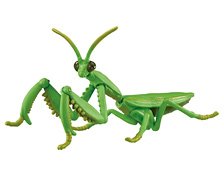 Ania AL-32 Tenodera aridifolia (Animal Figure)