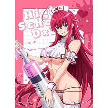 High School DxD HERO [Especially Illustrated] B2 Tapestry (Rias Gremory / White Nurse) W Suede (Anime Toy)