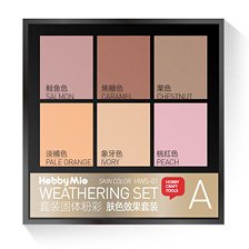 Weathering set (Skin tone effect set) (Paint)