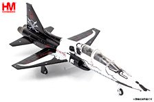 T-38C タロン `アメリカ空軍 第87飛行訓練飛行隊 2021` (完成品飛行機)