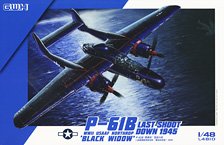 WW II U.S.Army P-61B Black Widow `Last Shot Down 1945` (Plastic model)