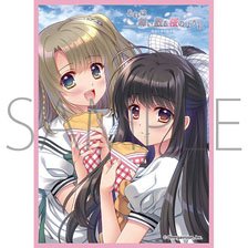Chara Sleeve Collection Mat Series Navel Cherry Petals Fall Like Teardrops -Re:BIRTH- Nozomi Hoshizaki & Komachi Yukimura (MT2120) (Card Sleeve)